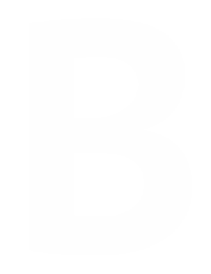 Bayview Logo Bug White
