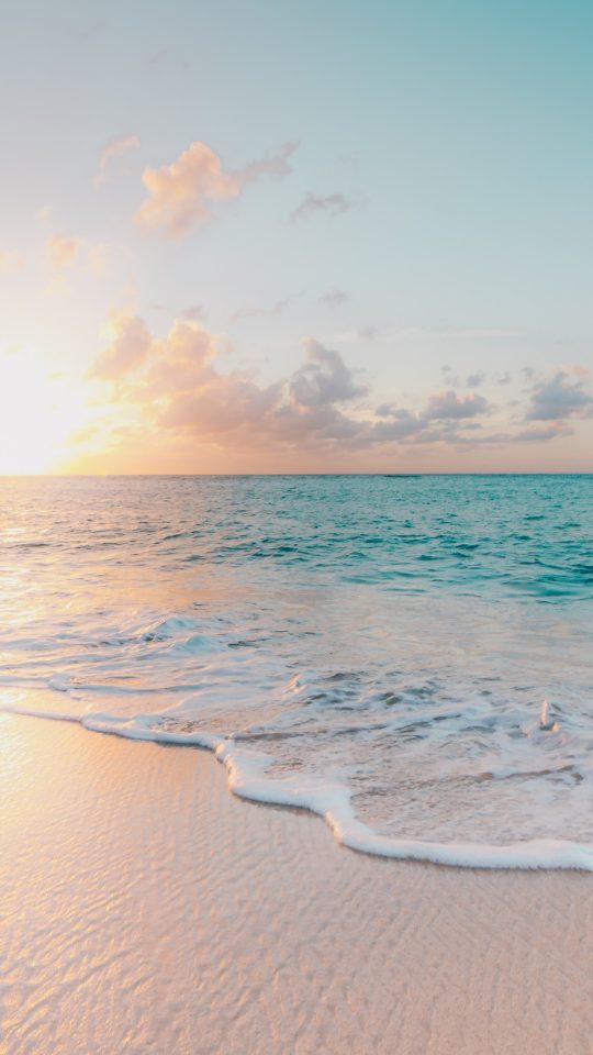 seashore during golden hour